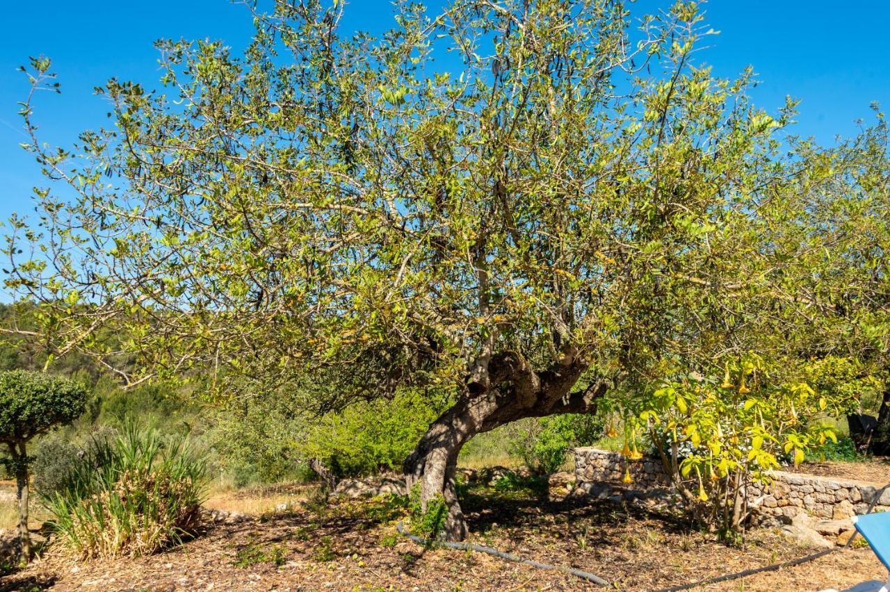 Villa Pep D'en Puig San Mateu